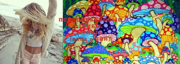 стафф Карпинск