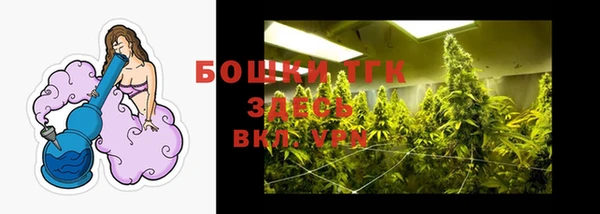 ГАЛЛЮЦИНОГЕННЫЕ ГРИБЫ Арсеньев