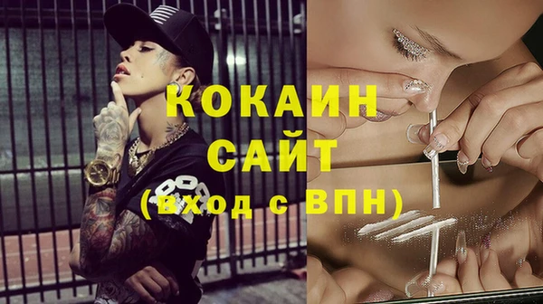 ГАЛЛЮЦИНОГЕННЫЕ ГРИБЫ Арсеньев